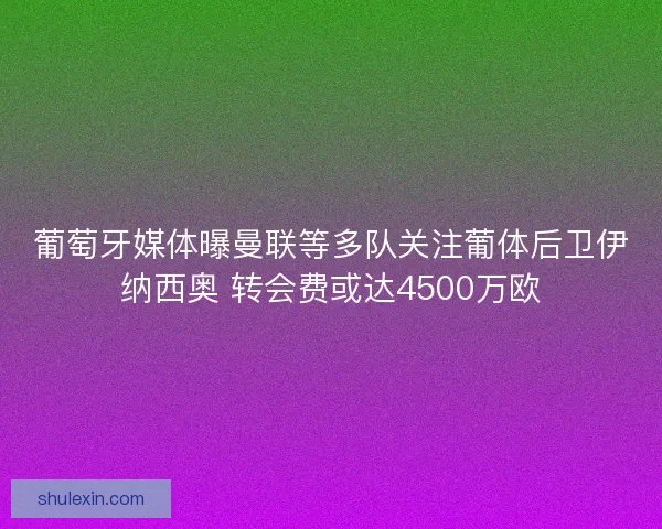 葡萄牙媒体曝曼联等多队关注葡体后卫伊纳西奥 转会费或达4500万欧