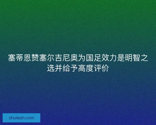 塞蒂恩赞塞尔吉尼奥为国足效力是明智之选并给予高度评价