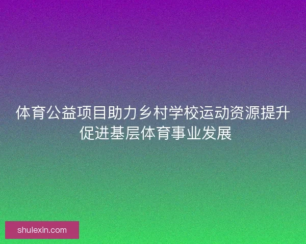 体育公益项目助力乡村学校运动资源提升 促进基层体育事业发展