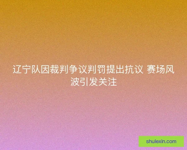 辽宁队因裁判争议判罚提出抗议 赛场风波引发关注